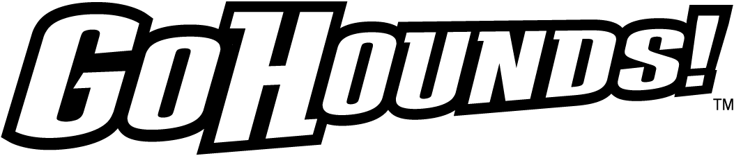 Loyola-Maryland Greyhounds 2011-Pres Wordmark Logo v5 DIY iron on transfer (heat transfer)